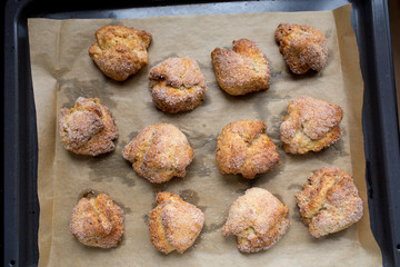 Cottage cheese buns on a baking sheet, top view, flat lay