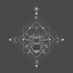 Vector illustration with hand drawn spider tarantula and Sacred geometric symbol on black vintage background. Abstract mystic sign.