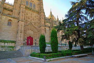Fototapeta na wymiar Salamanca, Spain - November 15, 2018: Salamanca Cathedral and Anaya Square in Salamanca.