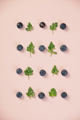 Pattern of blueberry and parsley leaves on pink background
