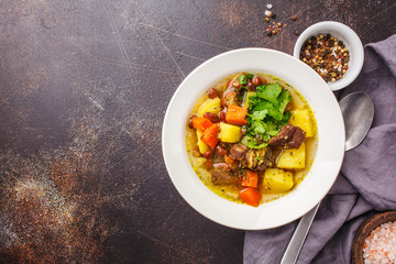 Traditional eintopf soup with meat, beans and vegetables in a white plate, copy space.