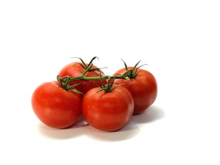 tomato, shrub tomatoes with stems, small, white background