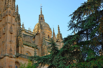 Fototapeta na wymiar Salamanca, Spain - November 15, 2018: Cathedral of Salamanca.