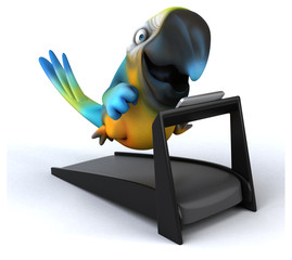 Fun parrot © Julien Tromeur