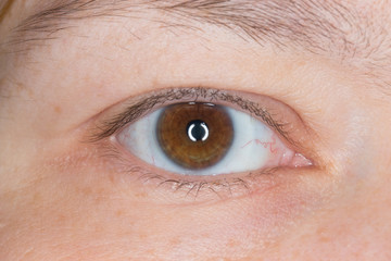 The right eye of a woman. Close up shot