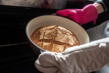 Fototapeta premium Closeup of a man taking a freshly baked home made bread out of the oven