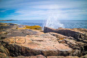 Schoodic Point in Acadia National Park, Maine