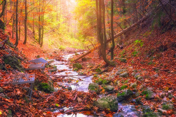Beautiful sunny color autumn forest with stream, wild nature, outdoor travel background, tourist route in Zejmarska roklina, National park Slovak paradise (Slovensky Raj), Slovakia (Slovensko)