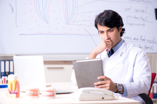 Young handsome dentist in front of the whiteboard 