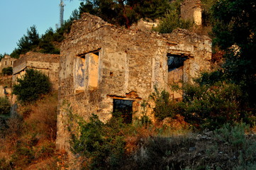 Fototapeta na wymiar abandoned house in forest