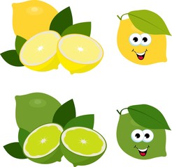Citrus fruit. Fresh lemon and lime, collection of Raster illustrations. Whole and cut lime and lemon fruit isolated