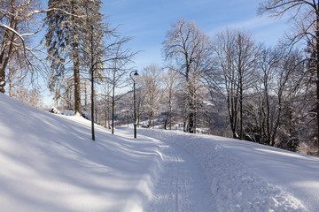 Obraz premium Winter road stretches into the distance and the snow-covered forest