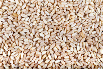 Wheat grains, background