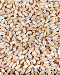 Wheat grains, background