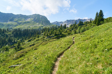 Wanderweg in den französischen Alpen im Sommer