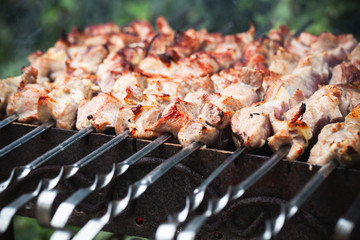 Pork shashlik preparing on coals, outdoor cooking