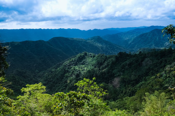 Beautiful nature landscape of mountains and forest