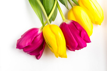 Spring background of pink and yellow tulips on white with copyspace