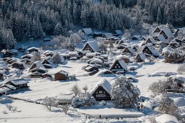 Gassho houses in Shirakawago village with snow covered ground at winter from Shiroyama Observatory  desk  in Shirakawago,Gifu,Japan.