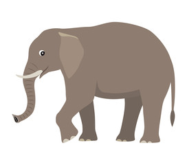 Cartoon cute wild animal, big gray elephant, vector illustration isolated on white background