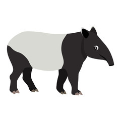 Cute friendly wild animal, black and white tapir icon, vector illustration isolated on white background - obrazy, fototapety, plakaty