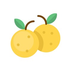 Tangerine vector, Chinese New Year related flat icon