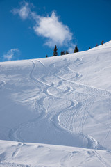 Hang mit Tiefschnee und Wedelspuren vertikal