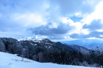 樹氷　雪　雪原　冬