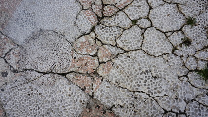 cracked floor texture