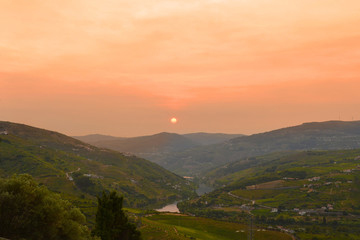 Fototapeta premium Winnice w dolinie rzeki Douro między Peso de Regua i Pinhao, Portugalia Europa