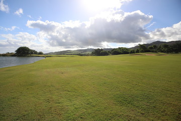 Lawn with trees against the sky with clouds near water