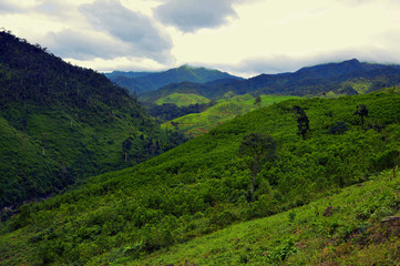 Beautiful mountain view in Ba Na Hills, Vietnam. Snake road through the hills.