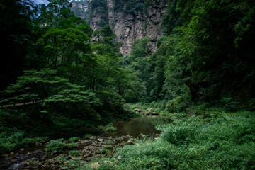 National Park of Zhangjiajie