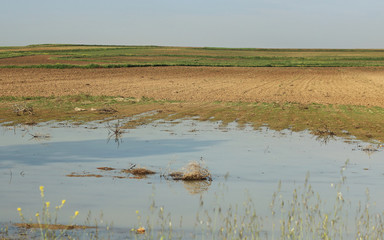  Water in the field