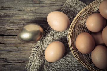 brown and golden chicken eggs