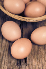 brown chicken eggs close-up