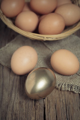 brown and golden chicken eggs