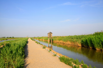 Roads and artificial bird's nest