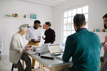 Fototapeta premium Businessmen Working Together