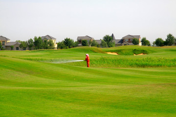 golf course landscape