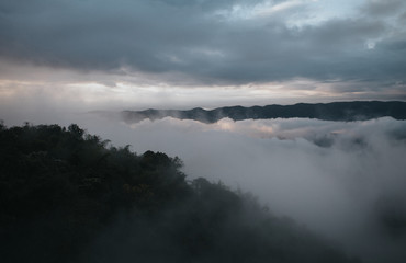 Morning fog, white sky, blue sky