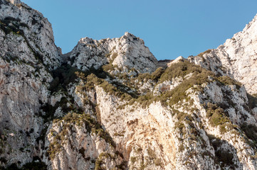 Rocks of the Rock of Gibraltar