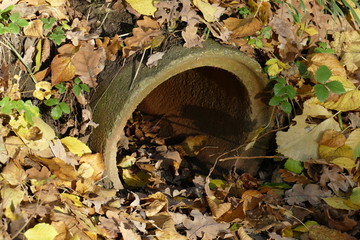 Kanalrohr mit Hebstlaub
