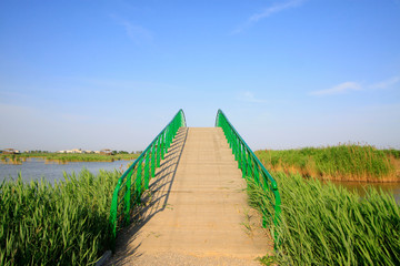 Fototapeta premium Green iron bridge railings