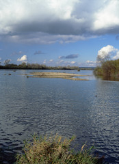 Wisla river near Annopol, Jozefow and Basonia, lubelskie region, Poland