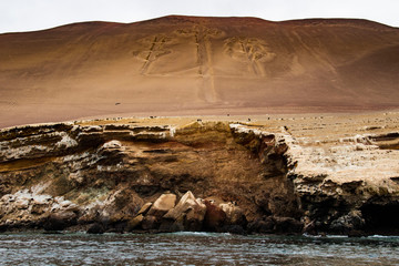 Il candelabro, risalente al 2400 a.C., Perù