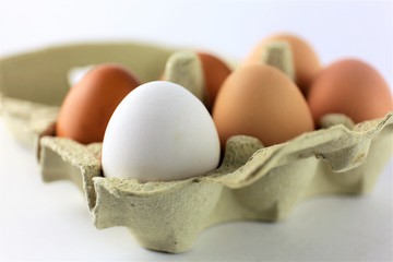 An Image of a eggs, food