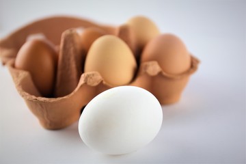 An Image of a eggs, food