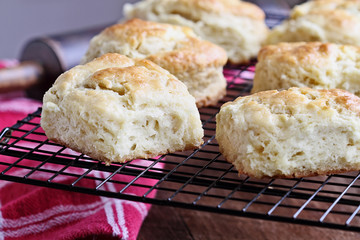 Freshly baked buttermilk southern biscuits or scones from scratch cooling on a cooling rack.