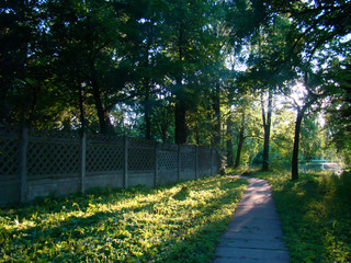 Evening sunlit landscape with the old path in the park